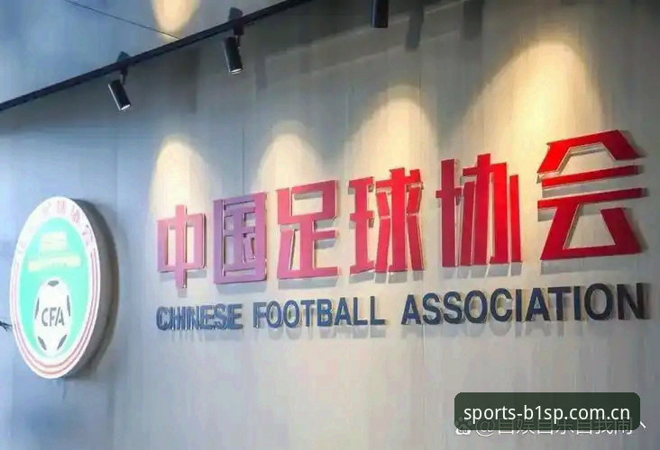 必一B1SP登录不上 足协第三批禁足名单公布:17人终身禁赛,48人遭重罚的5大看点